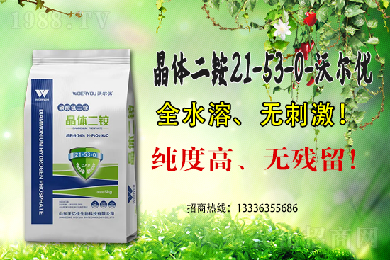 二銨高價，近期國內(nèi)磷銨價格行情日報（6月15）