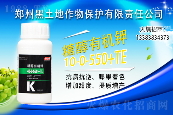 ⛷ʃr(ji��)���j��500Ԫ/����2021��6��15��⛷ʃr(ji��)������