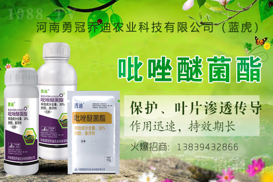 ��������(j��)���¹چ̵ϣ��{(l��n)�����ٺ�1988.TV������(chu��ng)���x����