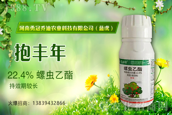 ��������(j��)���¹چ̵ϣ��{(l��n)�����ٺ�1988.TV������(chu��ng)���x����