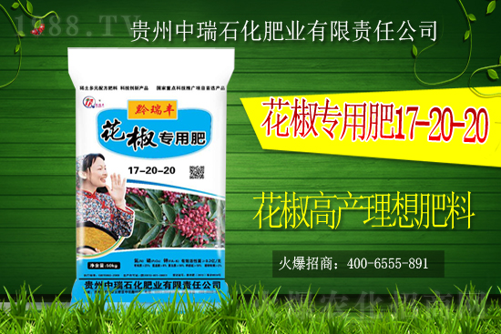     ����ʯ���ʘI(y��)�𱬁��u���ٺ����r(n��ng)�����̾W(w��ng)���_��(chu��ng)���x����