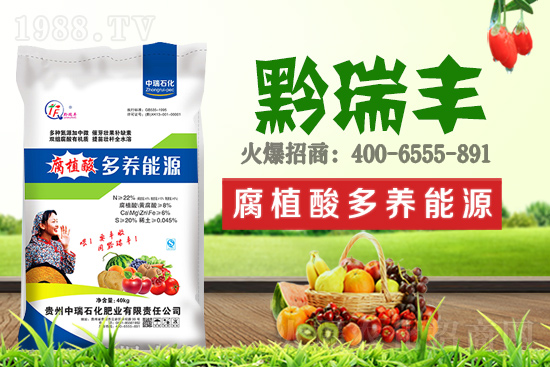     ����ʯ���ʘI(y��)�𱬁��u���ٺ����r(n��ng)�����̾W(w��ng)���_��(chu��ng)���x����