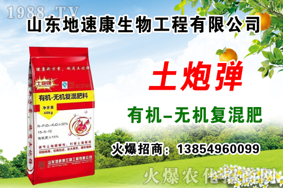    �����P(gu��n)ϵ�����A��ɽ�|���ٿ��c1988.TV�_����ƪ����