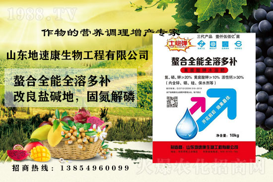    �����P(gu��n)ϵ�����A��ɽ�|���ٿ��c1988.TV�_����ƪ����