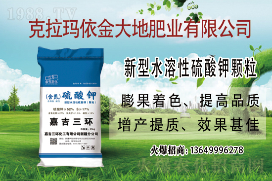 ⛷��Ј����ֈ�(ji��n)ͦ�߄�������⛷ʃr(ji��)���߄ݼ��������u(p��ng)