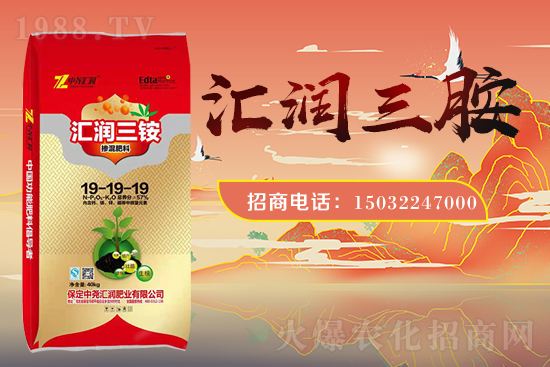 �r(n��ng)���W(w��ng)ϲӭ���������Ј�R��(r��n)���s1988.TV�y�ִ����������E��