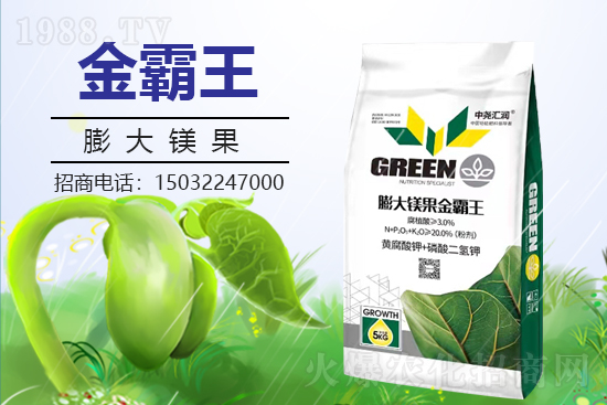 �r(n��ng)���W(w��ng)ϲӭ���������Ј�R��(r��n)���s1988.TV�y�ִ����������E��