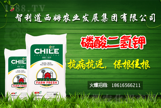 ��������ķ�ٺ�1988.TV���_���W�j������ģʽ��