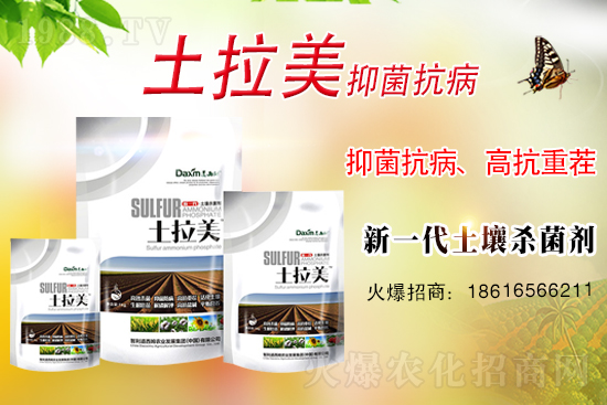 ��������ķ�ٺ�1988.TV���_���W�j������ģʽ��