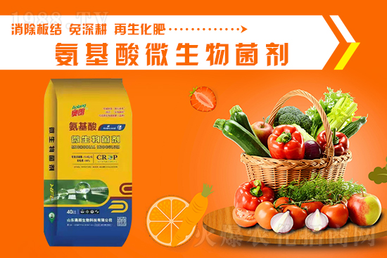 ɽ�|�W�������ٺ�1988.TV���y�ִ����������E��