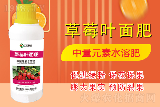 �����l(f��)չ������(chu��ng)δ�����������ﺞ�s1988.TV������(chu��ng)���x�ͣ�