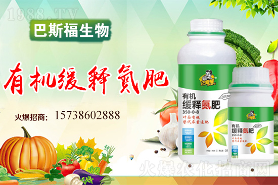 圣女果怎么施肥？圣女果追肥要點(diǎn)