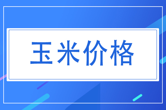 2021.8.6今日玉米價格行情走勢