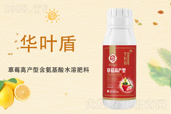 氯化鉀價格上漲，2021年9月10日鉀肥價格行情