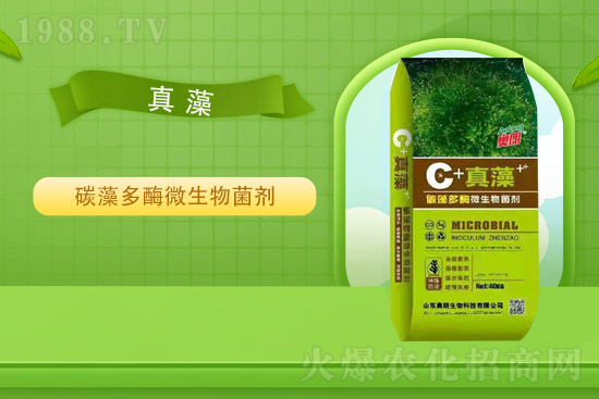 �Ȼ�⛃r(ji��)��ƽ��(w��n)��2021��9��2�Շ���(n��i)⛷ʃr(ji��)���߄�(sh��)