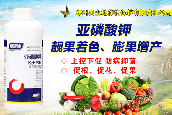 һ�@�Ј�(ch��ng)��(b��o)�r(ji��)��2021��9��2�����@�r(ji��)������