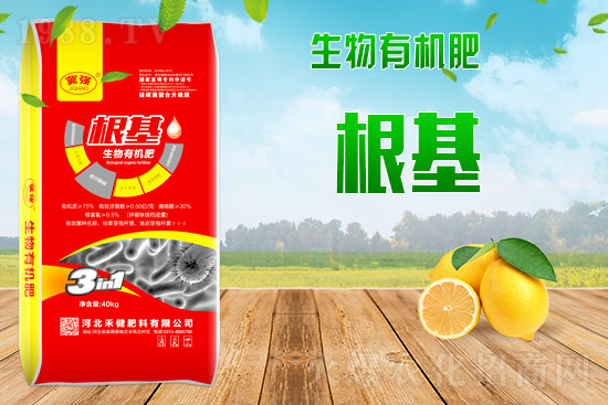 ��(f��)�Ϸʳ��S��r��2021��9��2�Տ�(f��)�Ϸʃr���Ո�