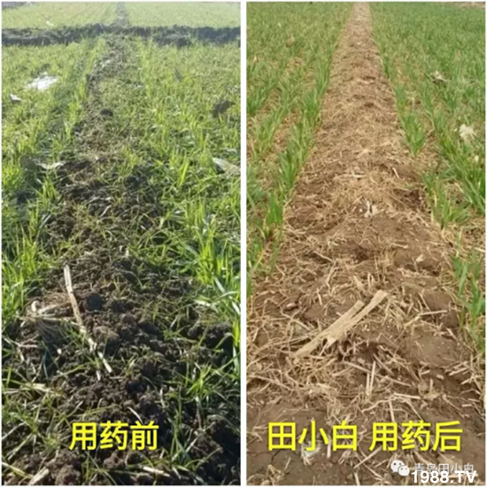 ��(ji��)��(ji��)��Σ��������ô������ʲôˎ��Ч������