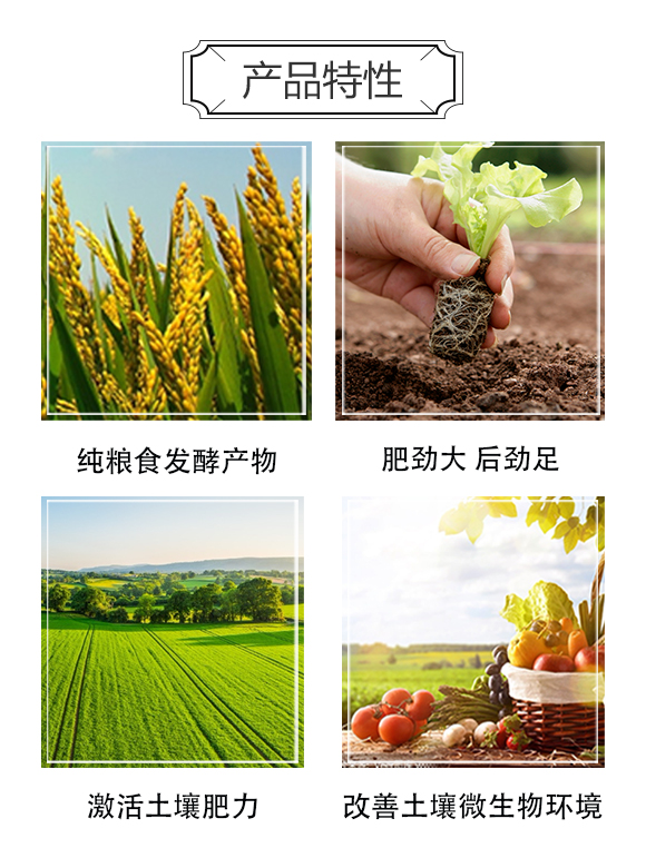 �w������̼����-���H����_03