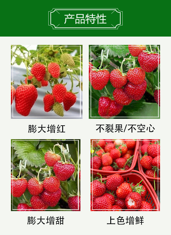 增甜著色膨大素-科創(chuàng)農業(yè)_03