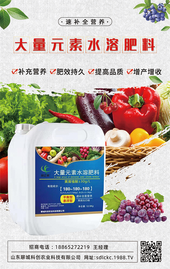 山東聊城科創(chuàng)再簽1988.TV，共謀合作促雙贏！