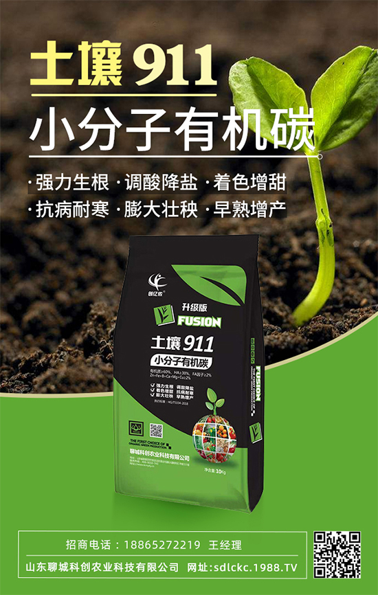 山東聊城科創(chuàng)再簽1988.TV，共謀合作促雙贏！