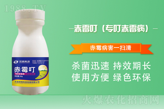 合作再升級！大連雙和科技再簽1988.TV，共創(chuàng)新輝煌！