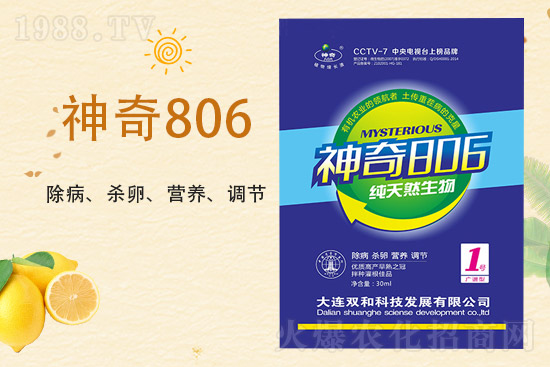 合作再升級！大連雙和科技再簽1988.TV，共創(chuàng)新輝煌！