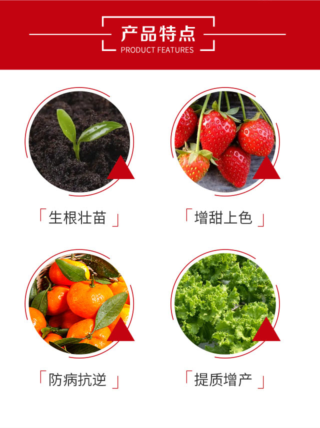 �S�݌�-�˰�_03