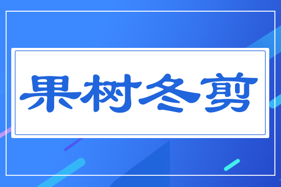 果樹(shù)冬剪