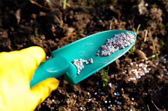 �ذ������ߌóɶ��N�I(y��)���[��(hu��)���n11��18��