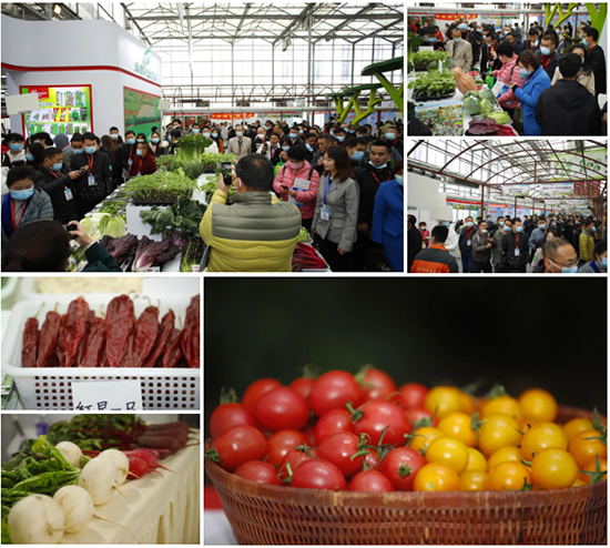 �ذ������ߌóɶ��N�I(y��)���[��(hu��)���n11��18��