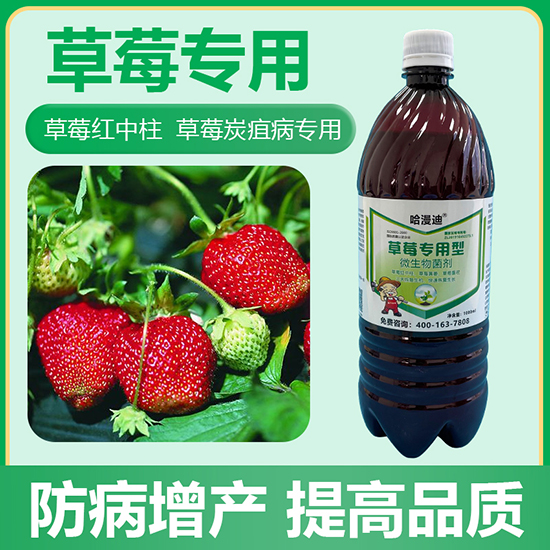 ��ݮ��(zhu��n)����΢�������-�ο�ֲ��2