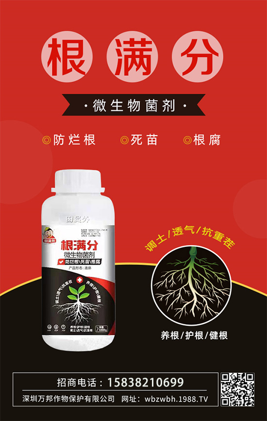 作物死苗爛根多，發(fā)育不良怎么辦！如何拯救作物根系？