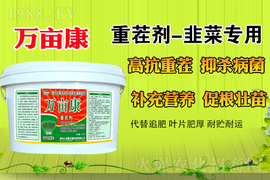 �²�ʲô�r��N�����m������¶�ؾ²˹���������ע�����