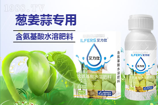 大蒜葉尖干枯如何防？解決大蒜葉尖怎么做？