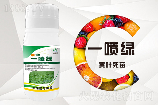 �����߲������ʲô������������ô��Q��