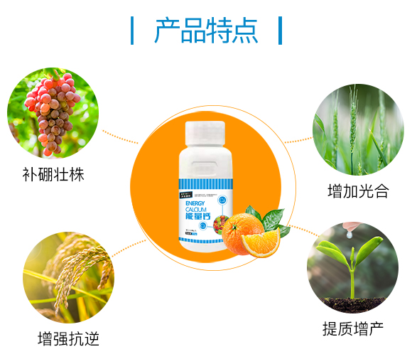 護(hù)果國際855862_03