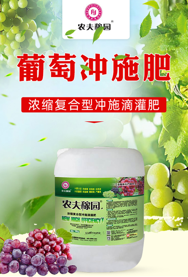 ���ћ_ʩ��-�r��ڈ@_01