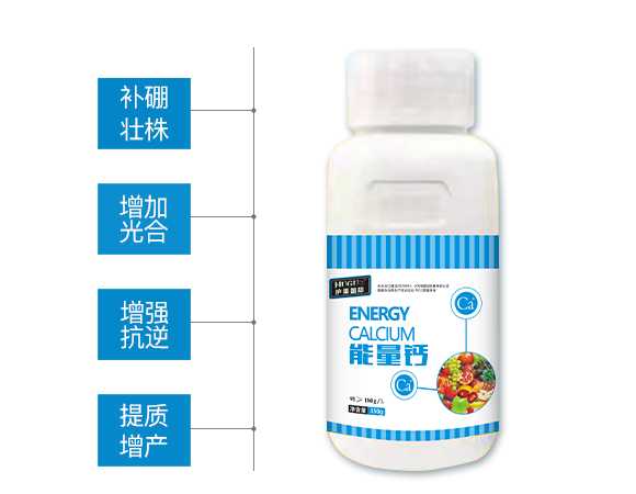 護(hù)果國際855862_02