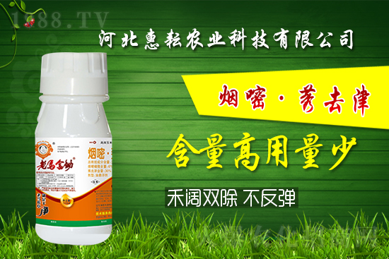 �⚢�pЧ�����ͨ�������������ӛס�@��(g��)�䷽�͉���! 