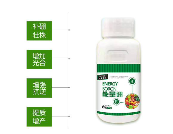 護果國際855863_02