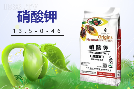 梁山正陽(yáng)農(nóng)業(yè)科技有限公司3