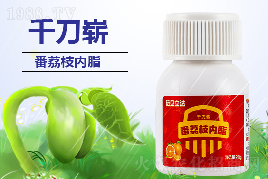 2022��4��1�ջ����������r(ji��)���߄�(sh��)