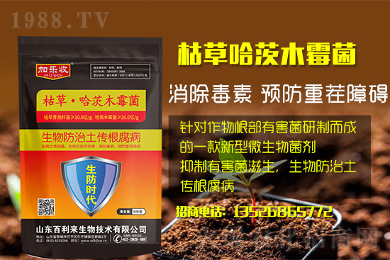 ���������l(f��)��ô���Σ���������ʲôˎ�÷���Ч������