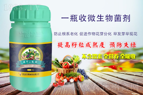 火爆農(nóng)化網(wǎng)喜迎新盟友，攜手國亨肥業(yè)共走財富之路！