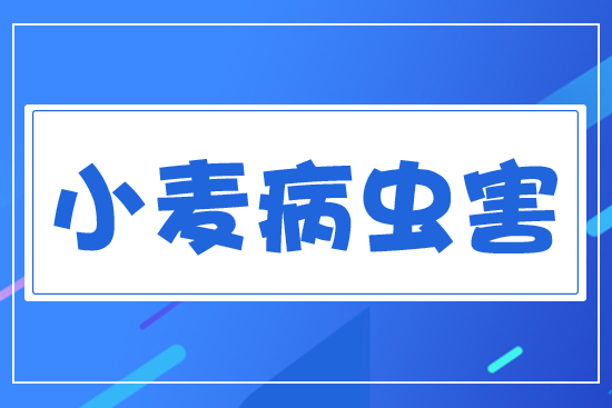 С�����x(ch��ng)��