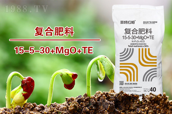 �ͺϷ�����ô�x���@���÷ʎ���ʡ�X��