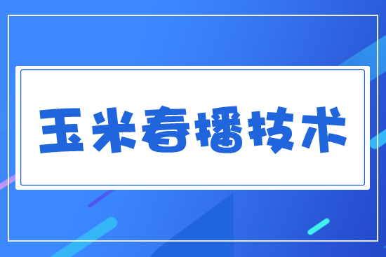 玉米春播技術