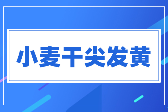 С���ɼ�l(f��)�S